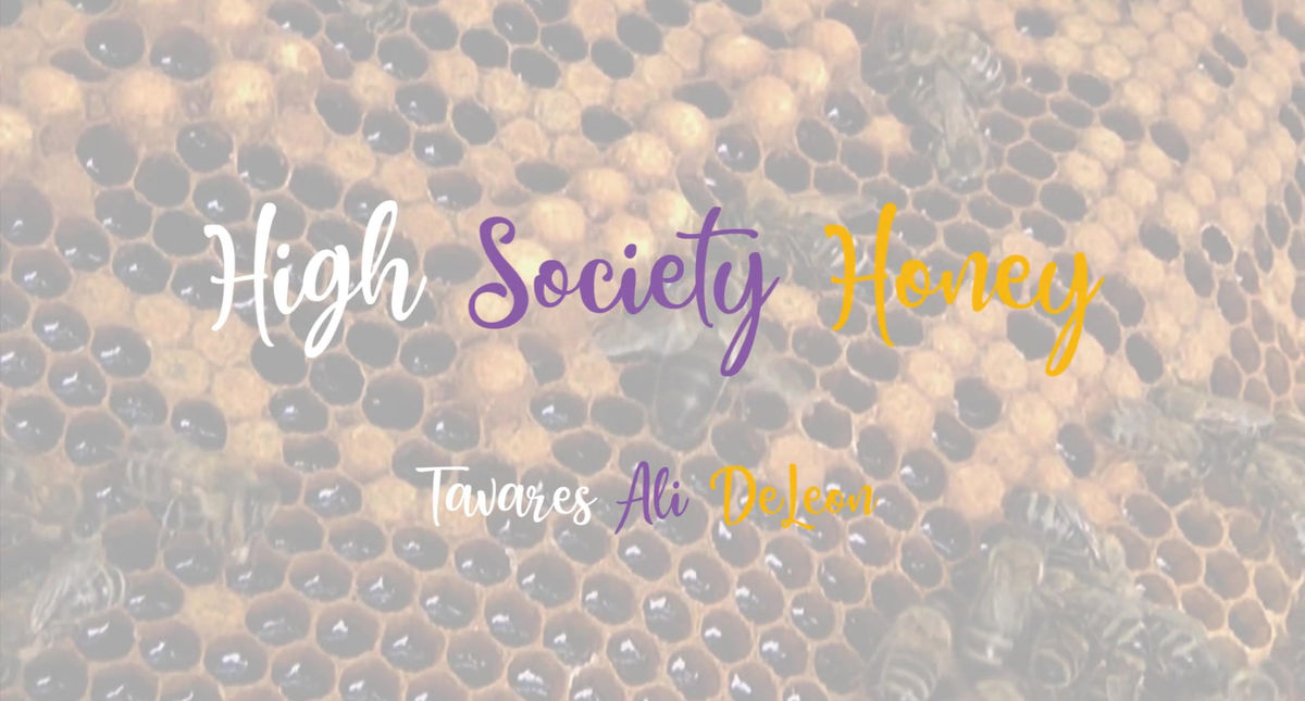 High Society Honey Fashion Show Video Background Video